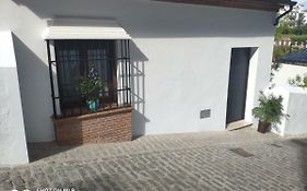 Apartamentos Cantarería, Rosa Mosqueta